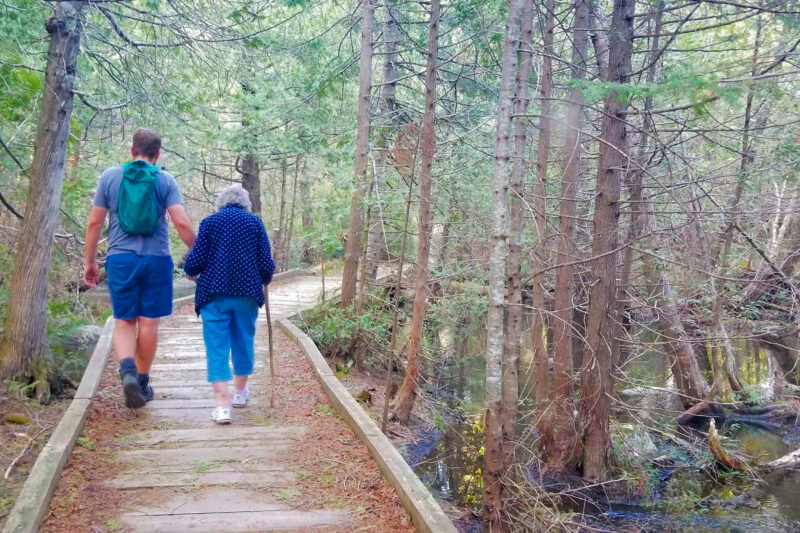 A woman and man walk down a wooden boardwalk through a forested area.