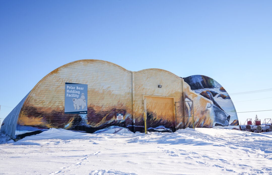 A large industrial building with a sign that reads "Polar Bear Holding Facility" sits amid a frosty landscape.