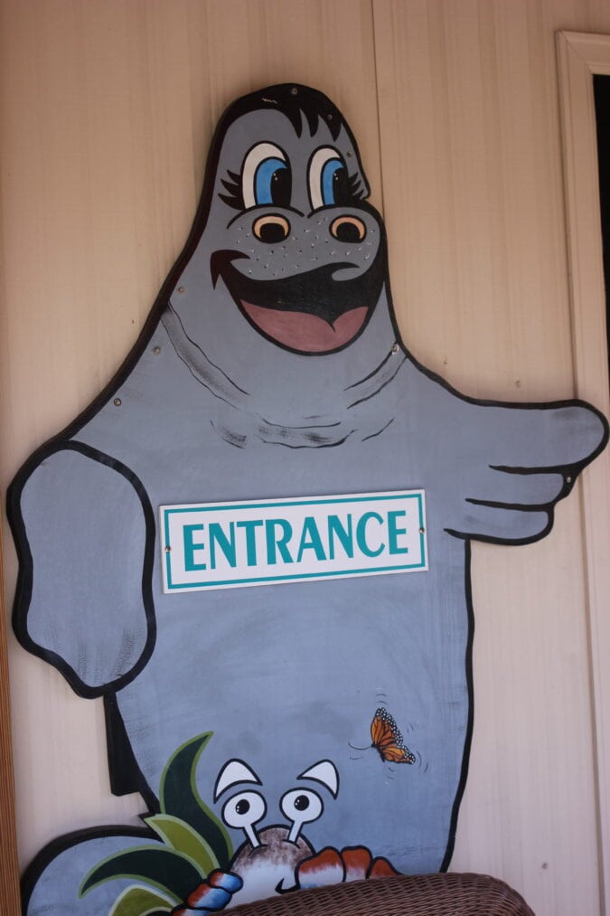 a wooden cutout of a manatee directing tourists to the entrance of a gift shop
