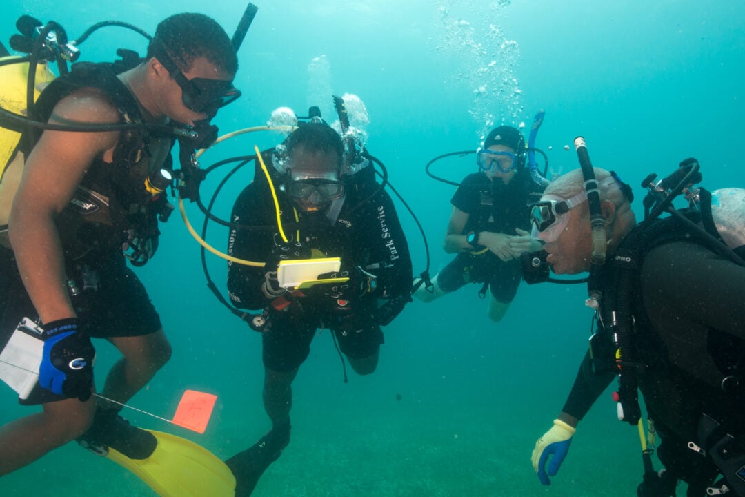 A group of SCUBA divers consult equipment underwater.