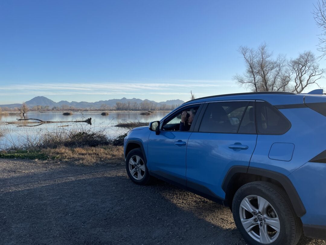 A birdwatcher uses binoculars to look for wildlife outside a car window