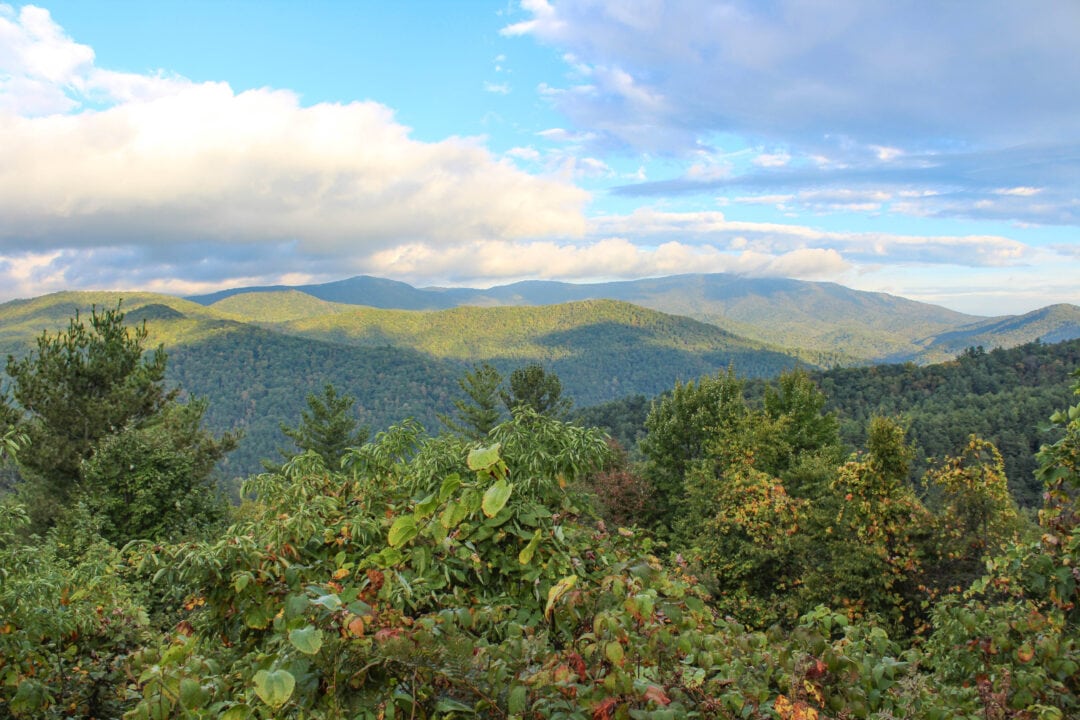 The bluish peaks of The Great Smoky Mountains rise above green brush