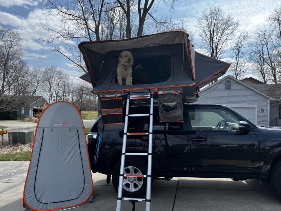 A dog stands in a rooftop tent mounted on top of a Toyota 4Runner in a driveway