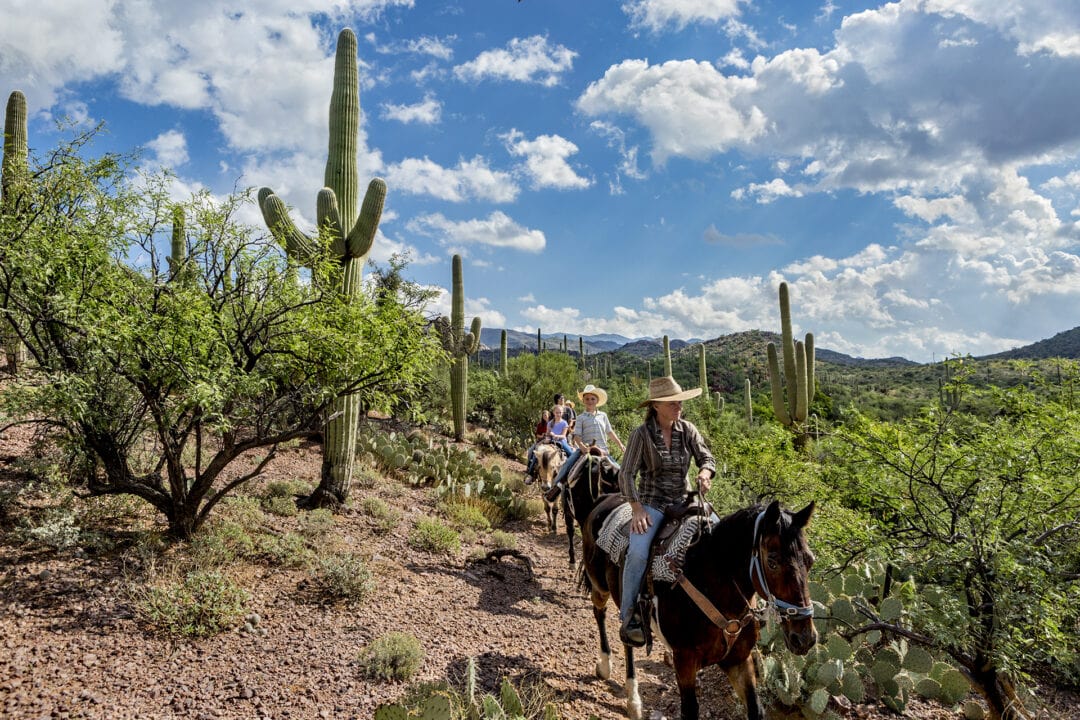 People ride horses past saguaro cacti in Colossal Cave Mountain Park