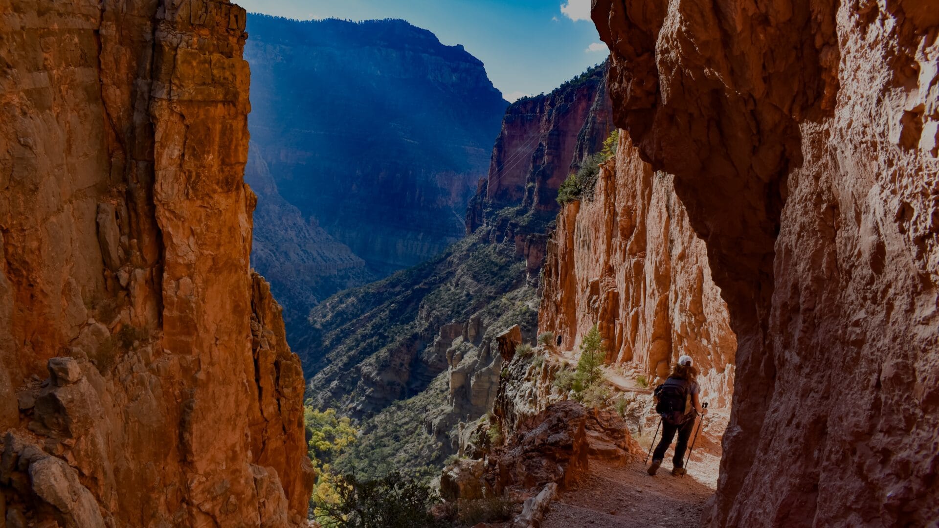 National park spotlight: Grand Canyon National Park