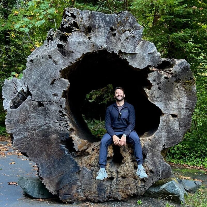 A man sits inside a hollowed out core in a massive tree