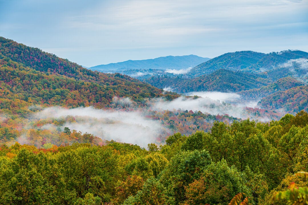 A scenic view of the Great Smoky Mountains emerging above the treetops
