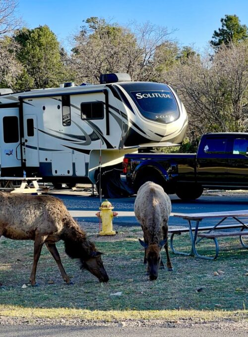 Where to find national park campgrounds with RV hookups [Campendium]