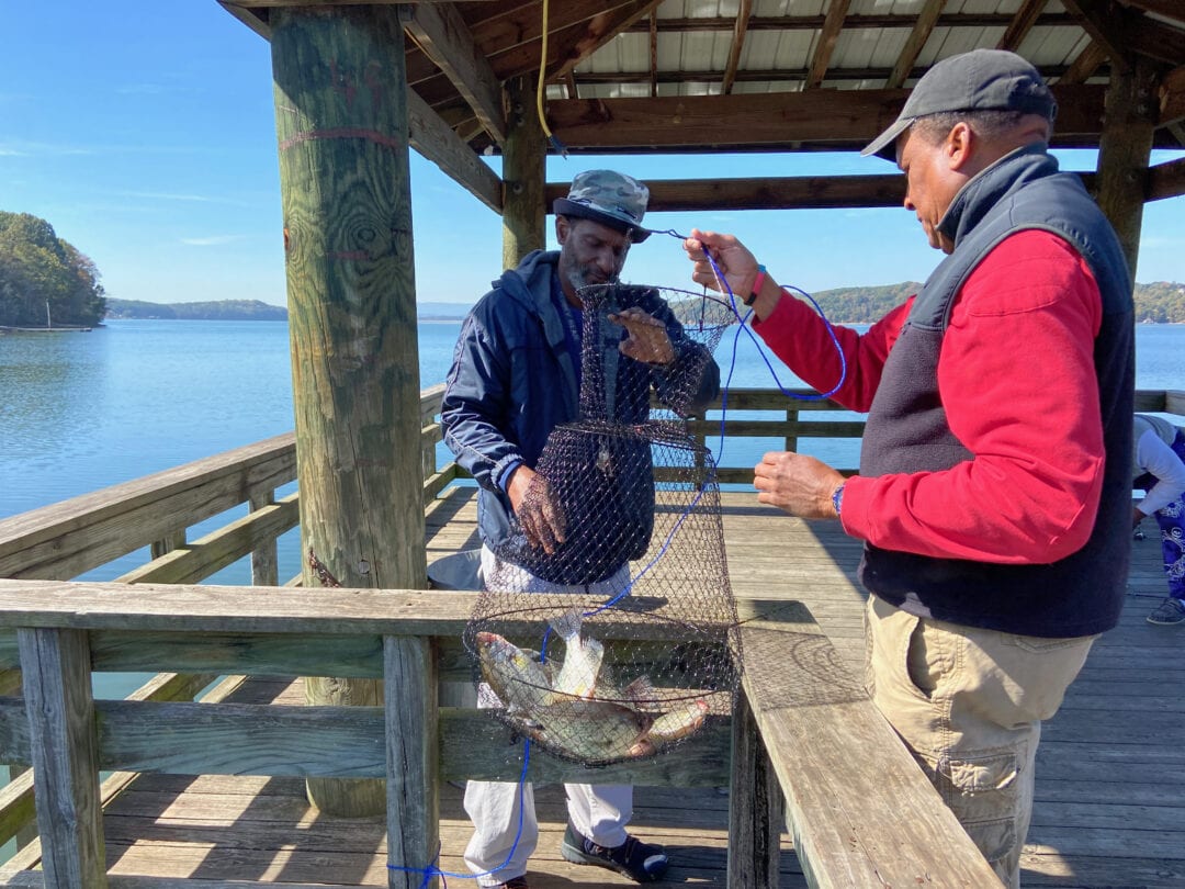 Two men collect fish in a net on a waterfront dock