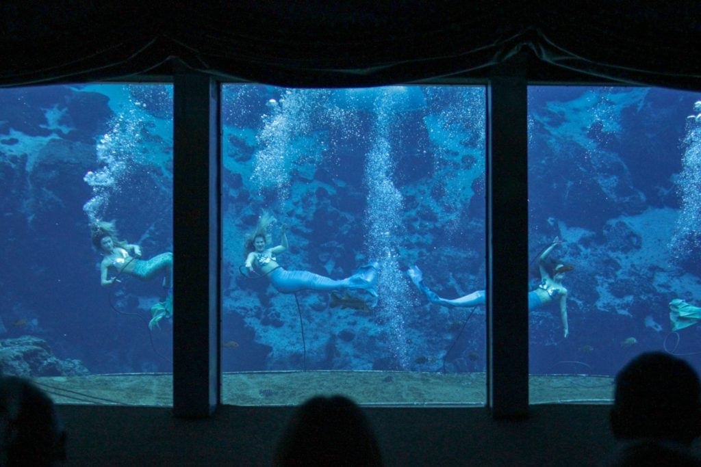 Mermaid performers swim in an underwater theater in Florida