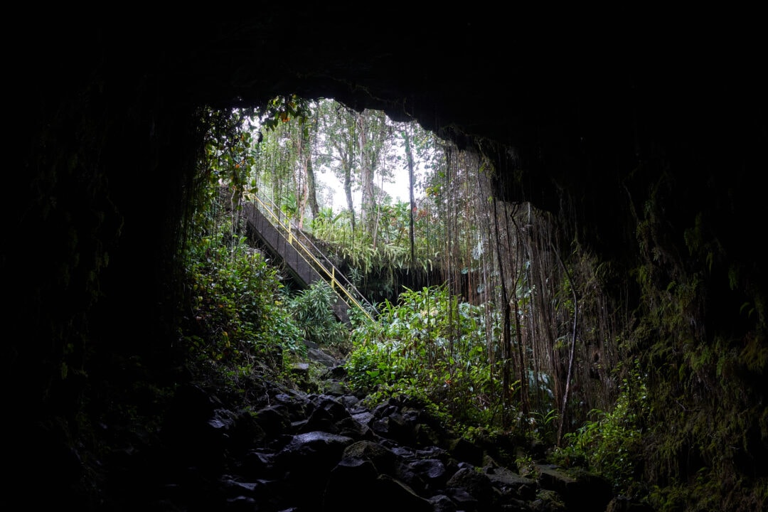 Dark cave with an exit and light coming through a large hole out to a forested area
