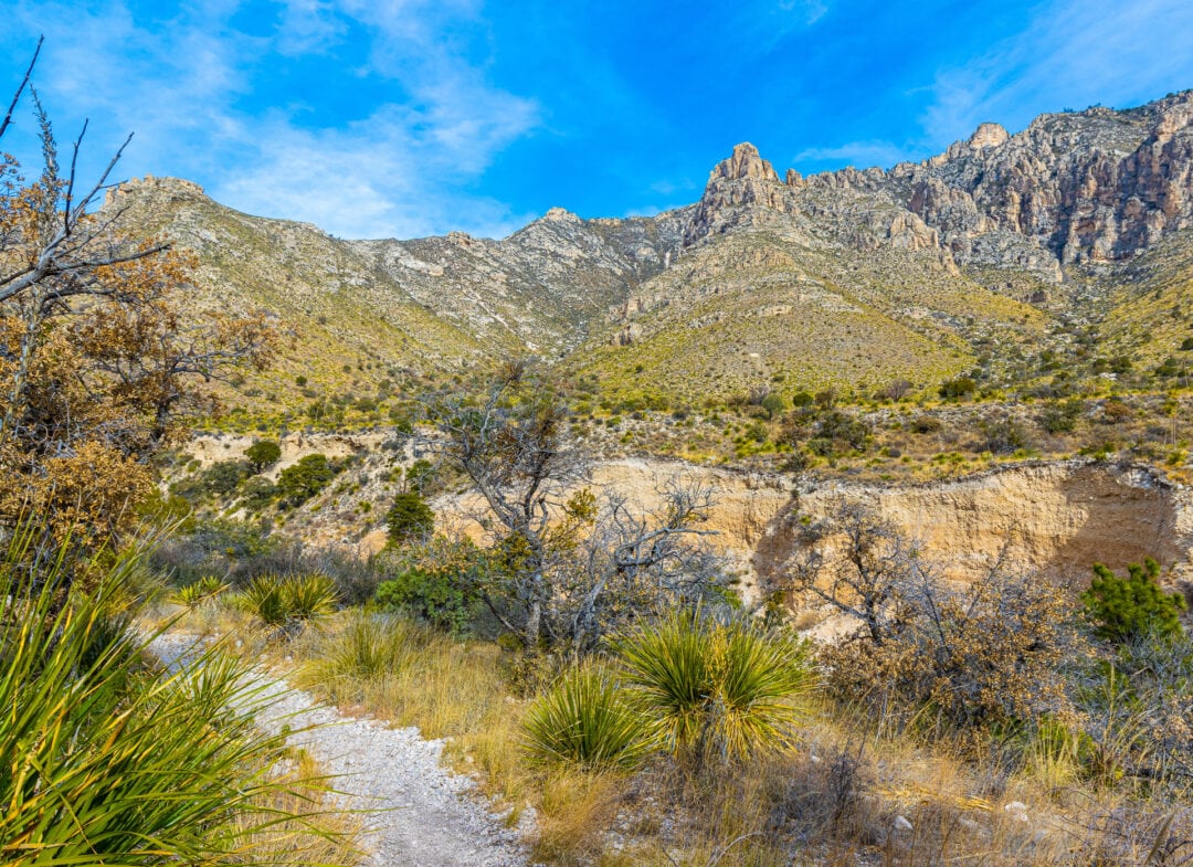Mountains and desert plants line the landscape at Texas' Guadalupe Mountains National Park