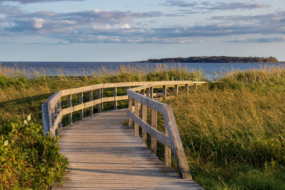 A wooden walkway leads through greenery toward the ocean