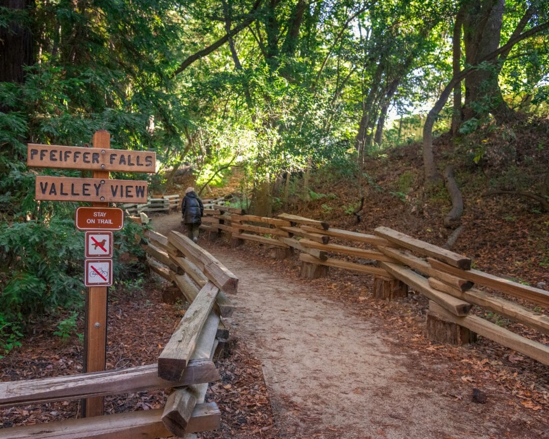 Wooded trail leading into a forest at Pfeiffer Big Sur
