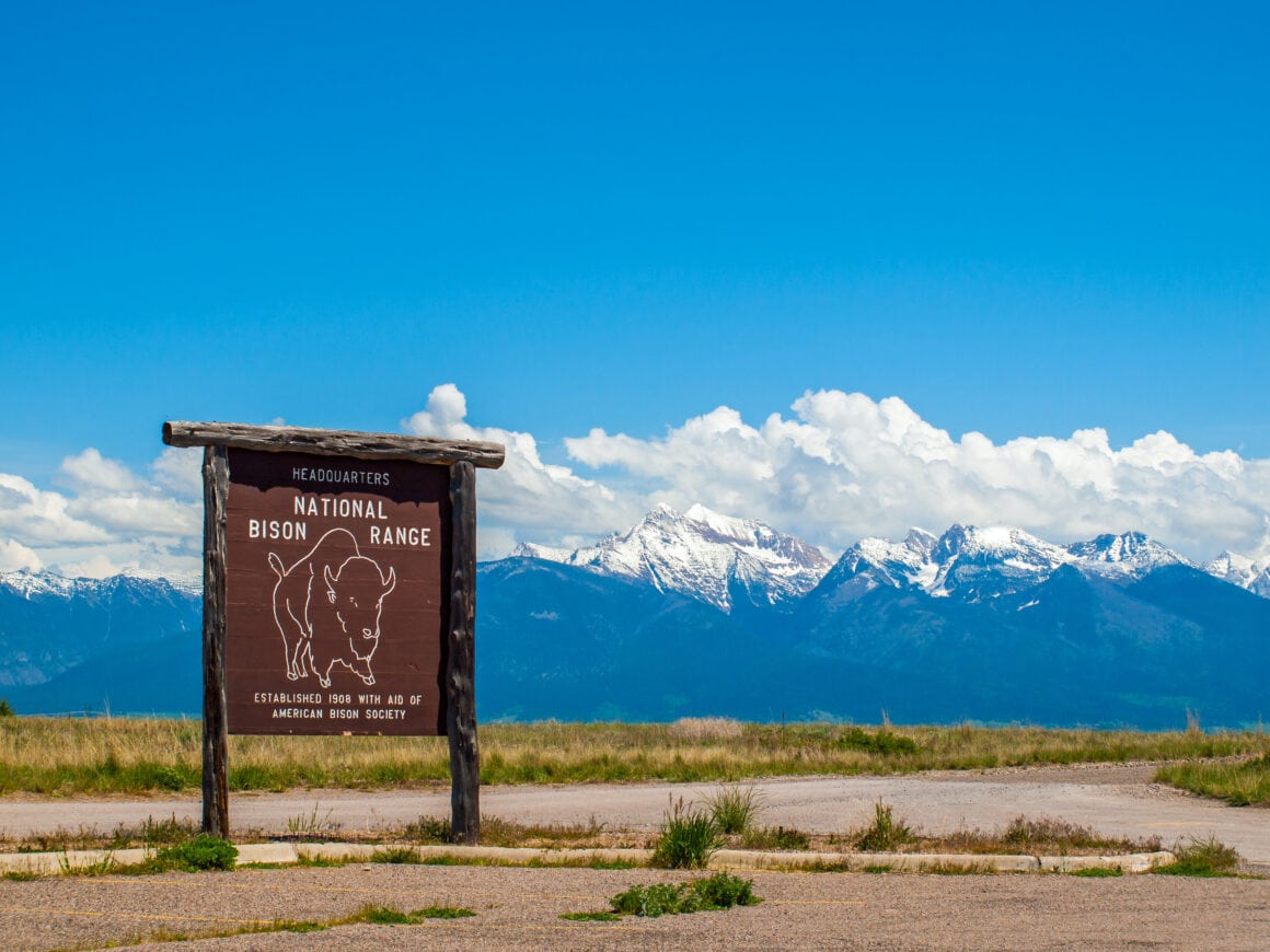 An adventure-of-a-lifetime drive from Yellowstone to Glacier National ...