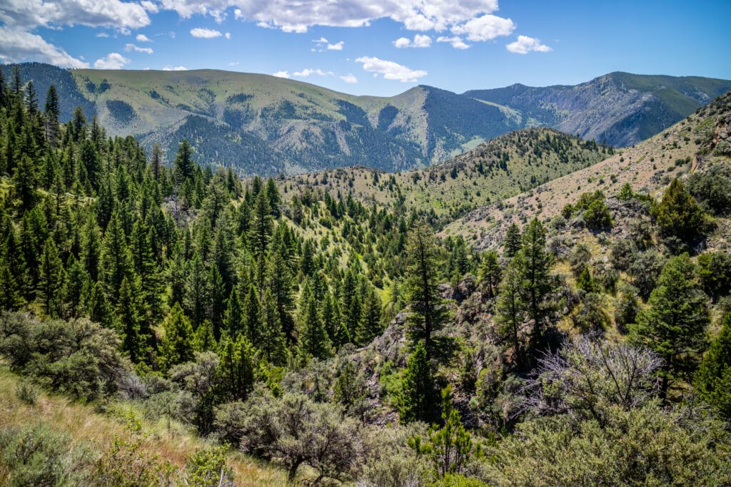 An Adventure Of A Lifetime Drive From Yellowstone To Glacier National   Shutterstock 1676853244 1024x683 