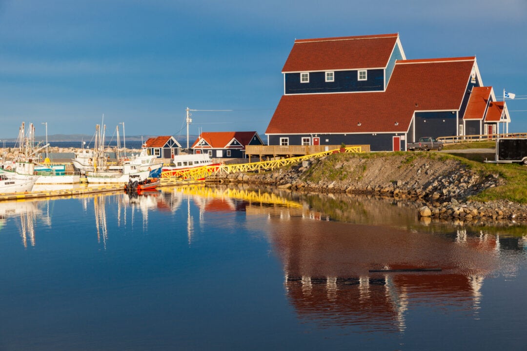 The harbor in Bonavista features a large red-roofed building beside numerous sailboats