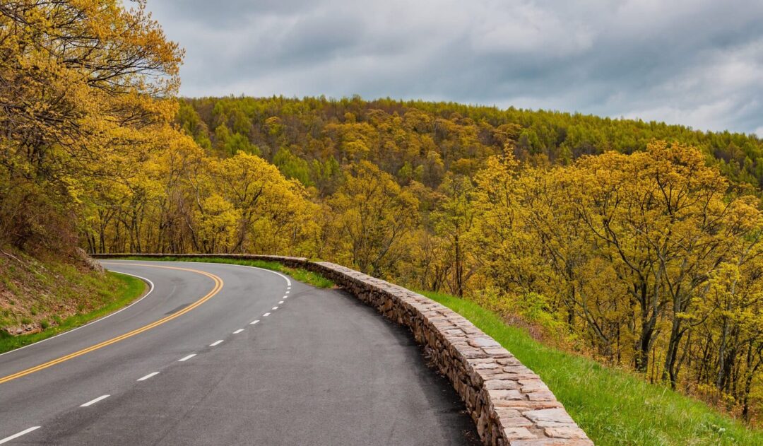 a curving road with a stone wall and dotted white line surrounded by golden trees under a grey cloudy sky