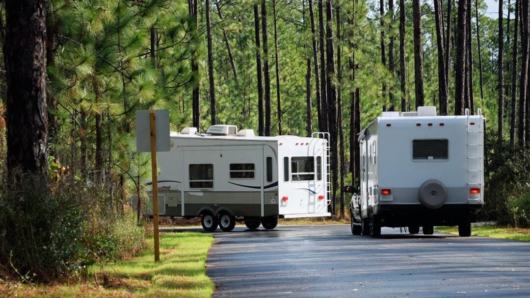 RVs driving in a forest