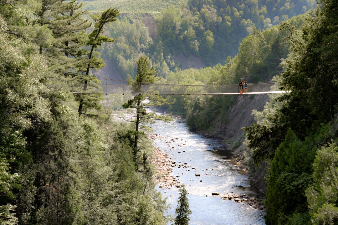 Suspension bridge over river in canyon with green trees along the bank