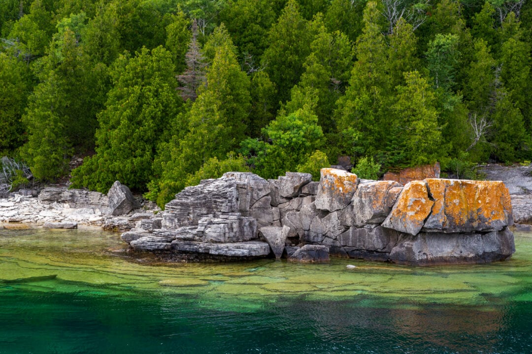 View of a shoreline with pine trees and rock formations outlining the banks