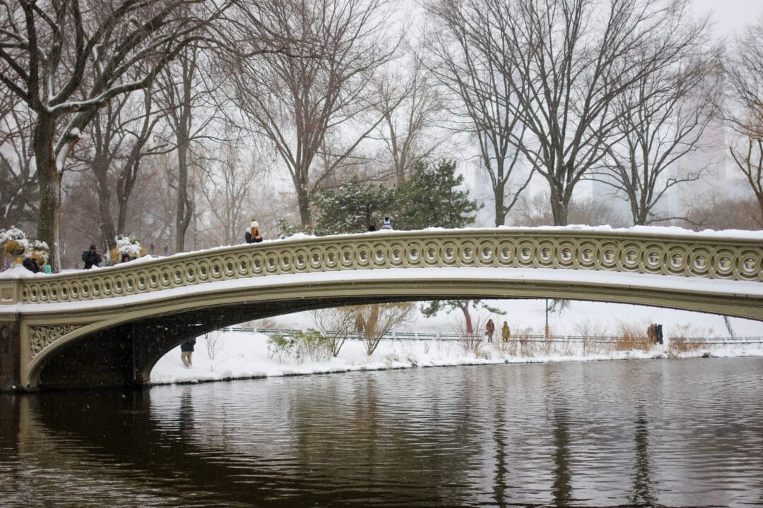 a curving bridge over a pond covered in snow