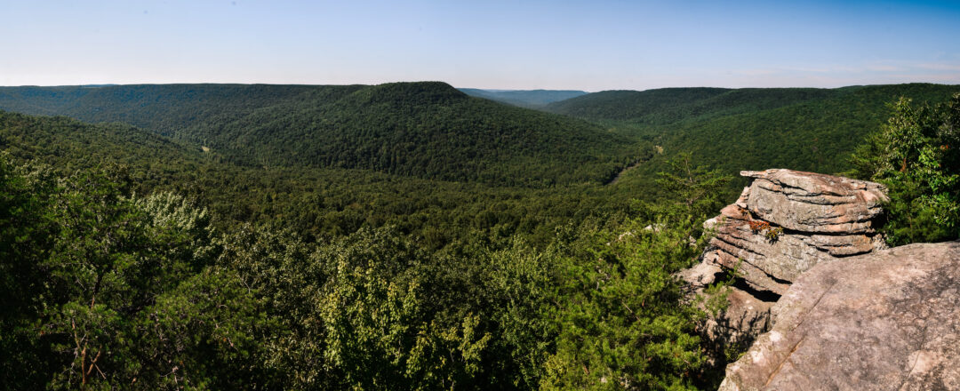 a panoramic view of a scenic overlook featuring a valley of green trees under a blue cloudless sky