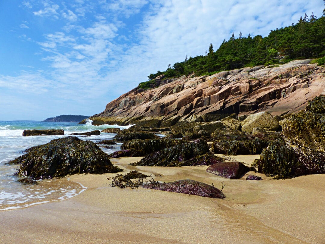 a rocky and sandy beach lined by pine trees under a blue sky with wispy white clouds
