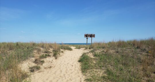 Soak up the sun with a road trip along the Indiana Dunes