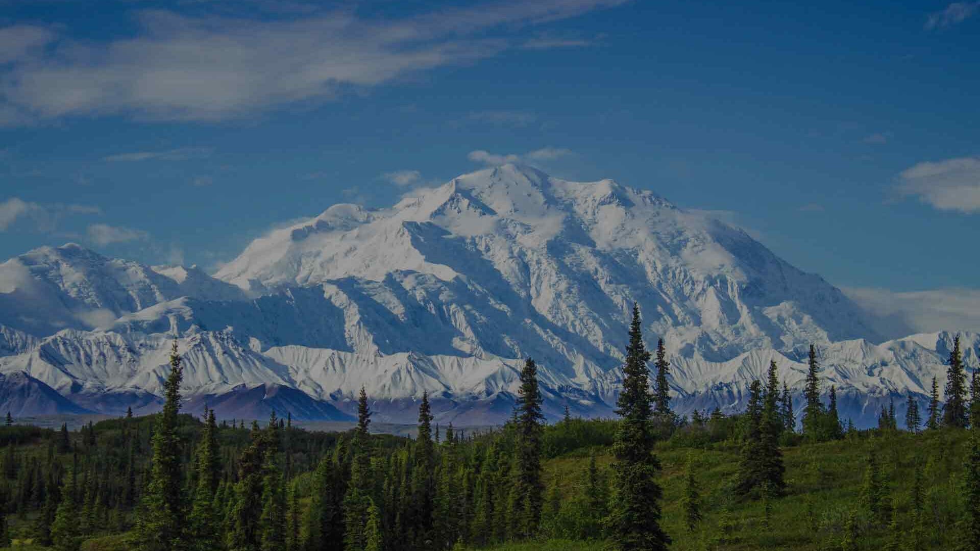 Planning a trip to Denali National Park and Preserve