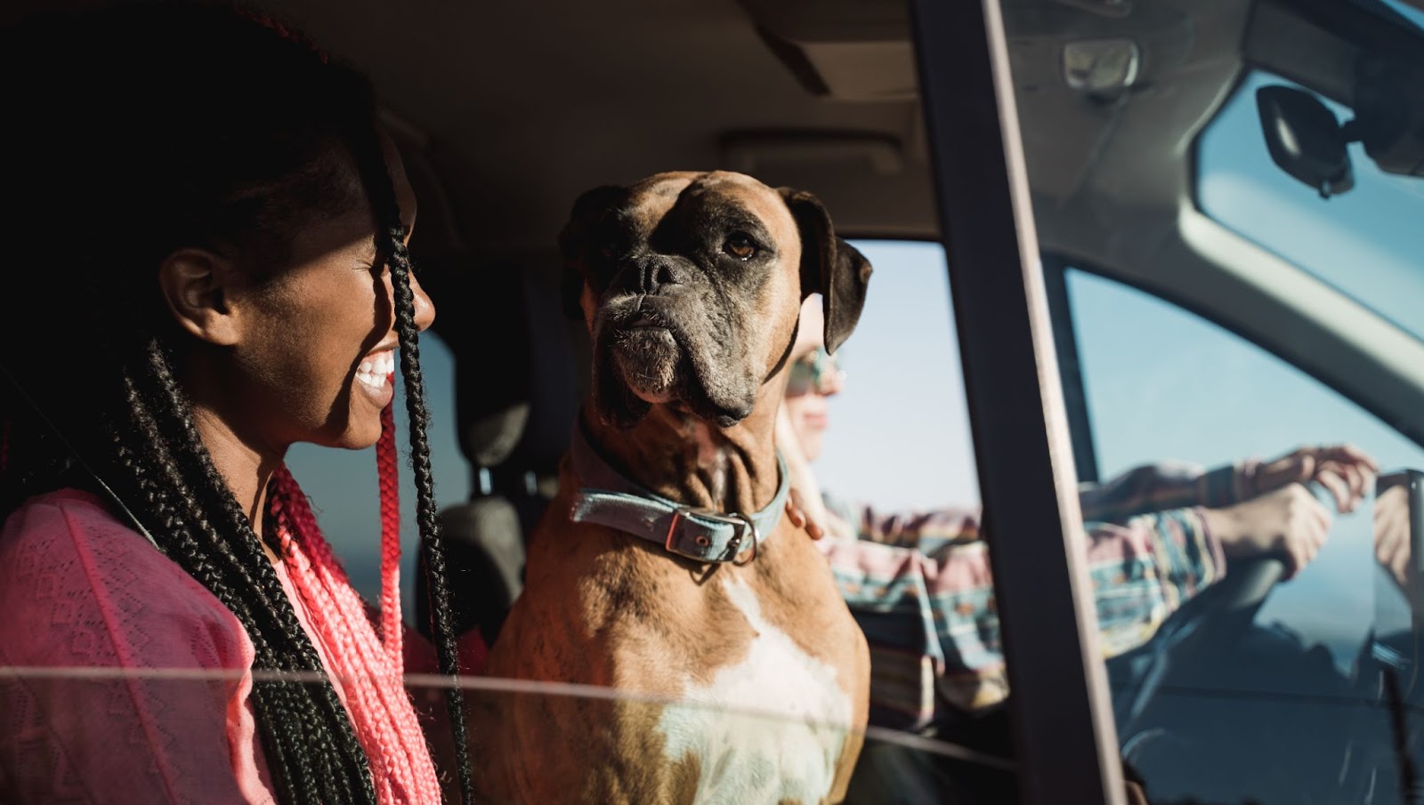 Woman with dog on road trip