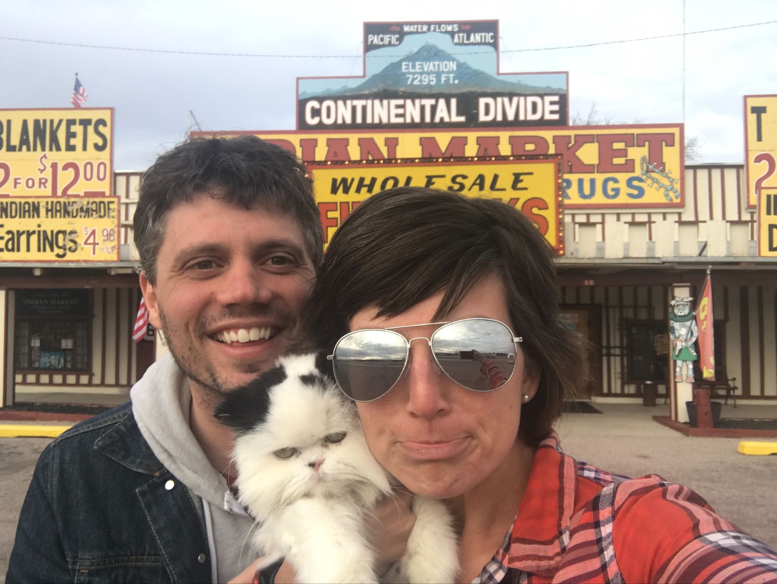 Walter The Cat at The Continental Divide