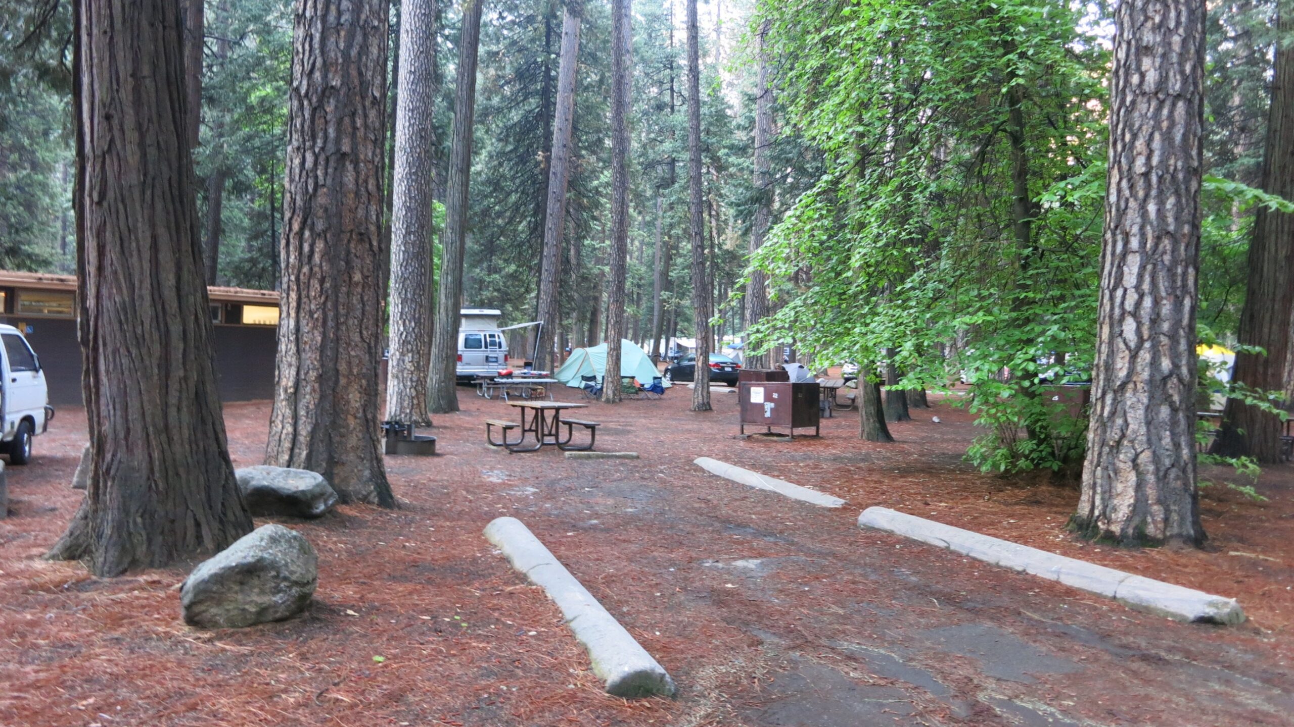 Upper Pines Campground in Yosemite Valley, CA