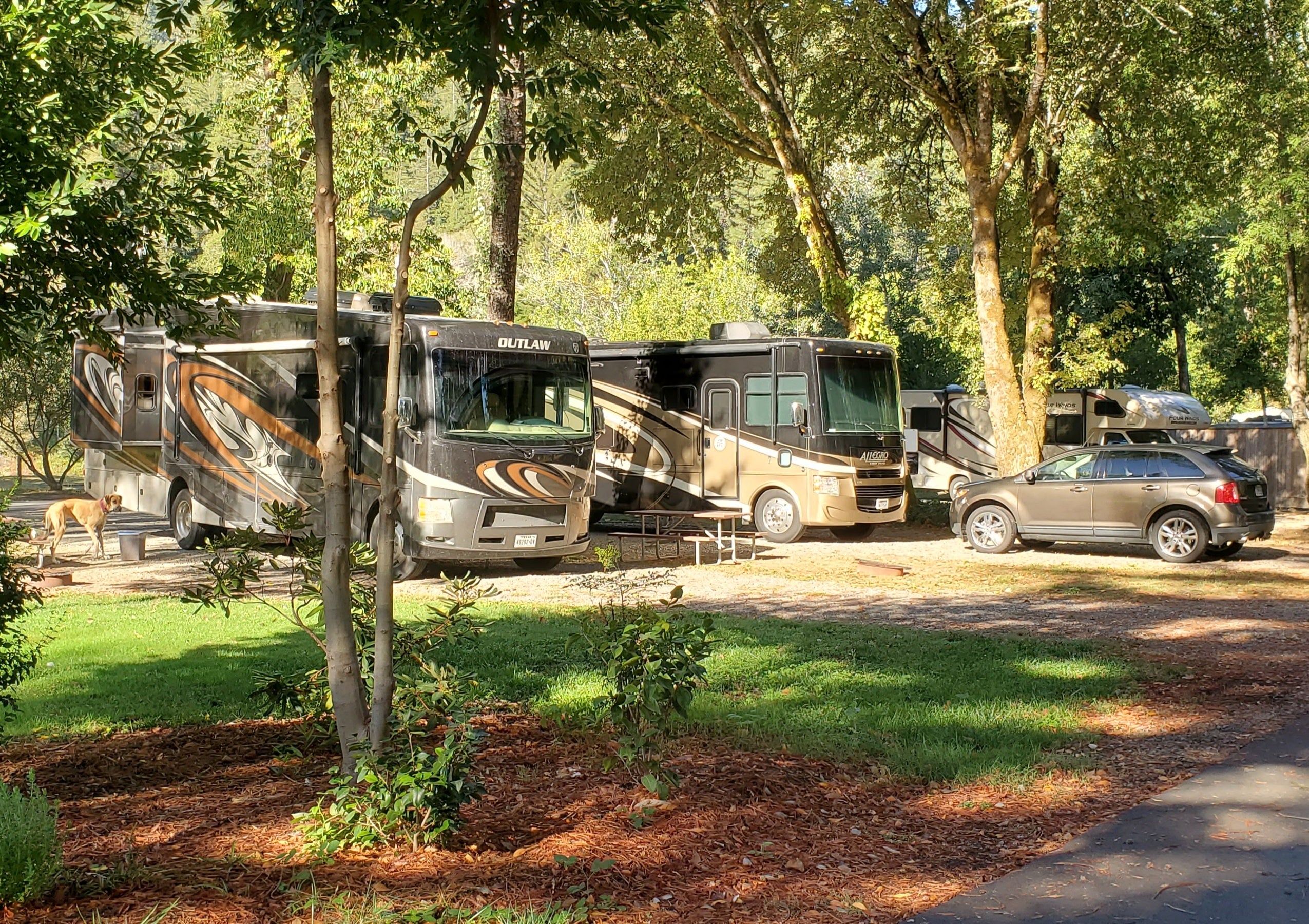 Giant Redwoods RV and Cabin Destination in Myers Flat, CA