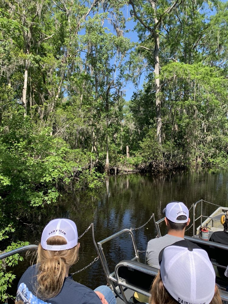 Swamp Fever Airboat Adventures in Lake Panasoffkee, FL