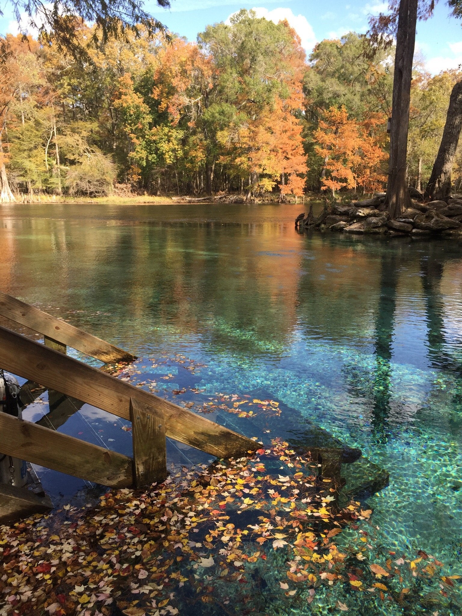 Ginnie Springs Outdoors in High Springs, FL