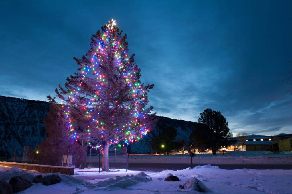 Christmas tree in lawn Hysham, MT