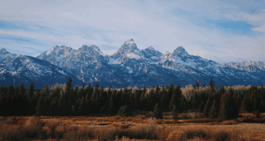 National park entrance fees and hours 2026: What every traveler needs to know before they go