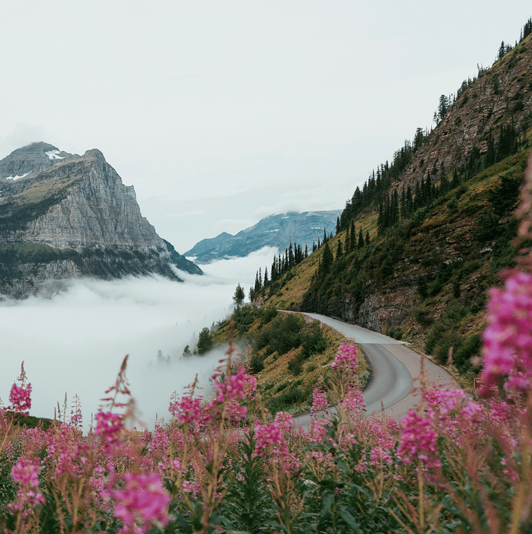 tevin-trinh-qRd3_-IVM38-unsplash 1