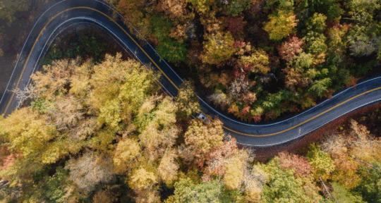 Tail of the Dragon: 9 turnouts worth stopping for (and 3 to skip)